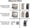 Picture of GrowlerWerks uKeg Carbonated Growler-Great Gift for Beer Lovers, 64 oz, Stainless Steel