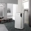 Picture of De'Longhi Pinguino 4-in-1: Air Conditioner, Heater, Dehumidifier, and Fan