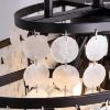 Picture of Wellmet Coastal Capiz Shell Chandelier, 6 Lights Beach Light , Black Oval  30.3" L X 16" W