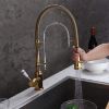 Picture of KunMai Single Handle  Dual-Mode Pull-Down Sprayer Kitchen Sink Faucet with Porcelain Handle in Gold&Chrome